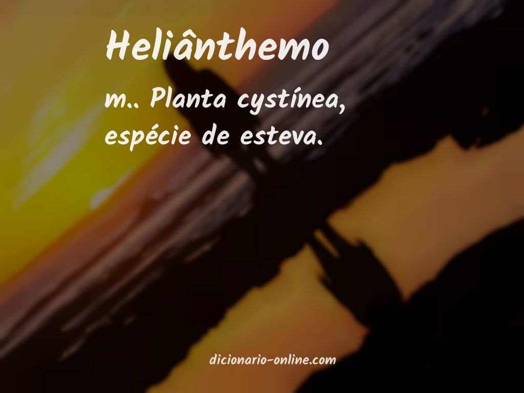 Significado de heliânthemo