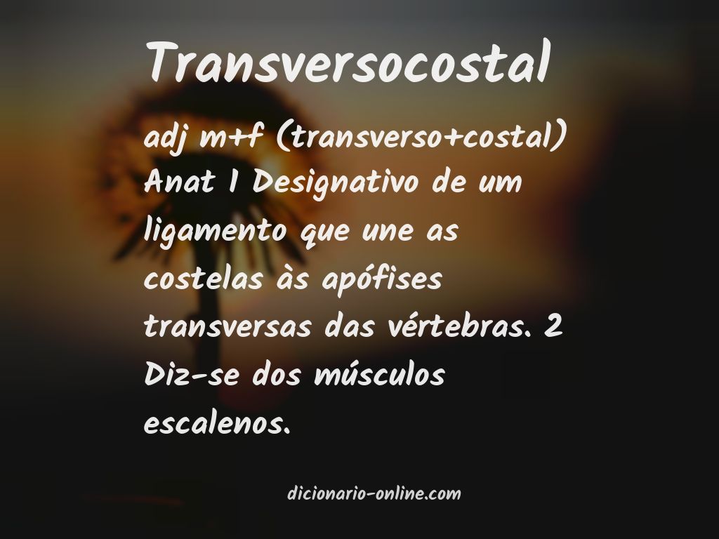 Significado de transversocostal