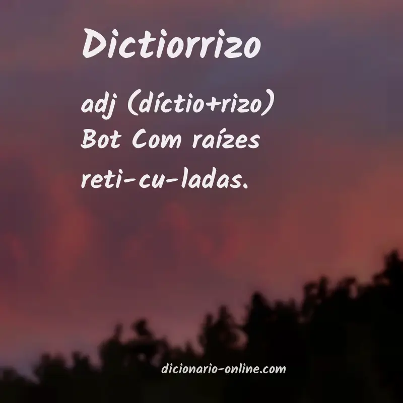 Significado de dictiorrizo