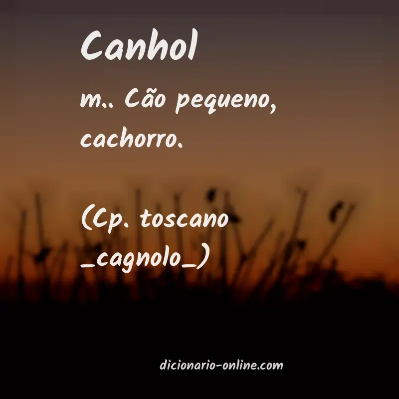 Significado de canhol