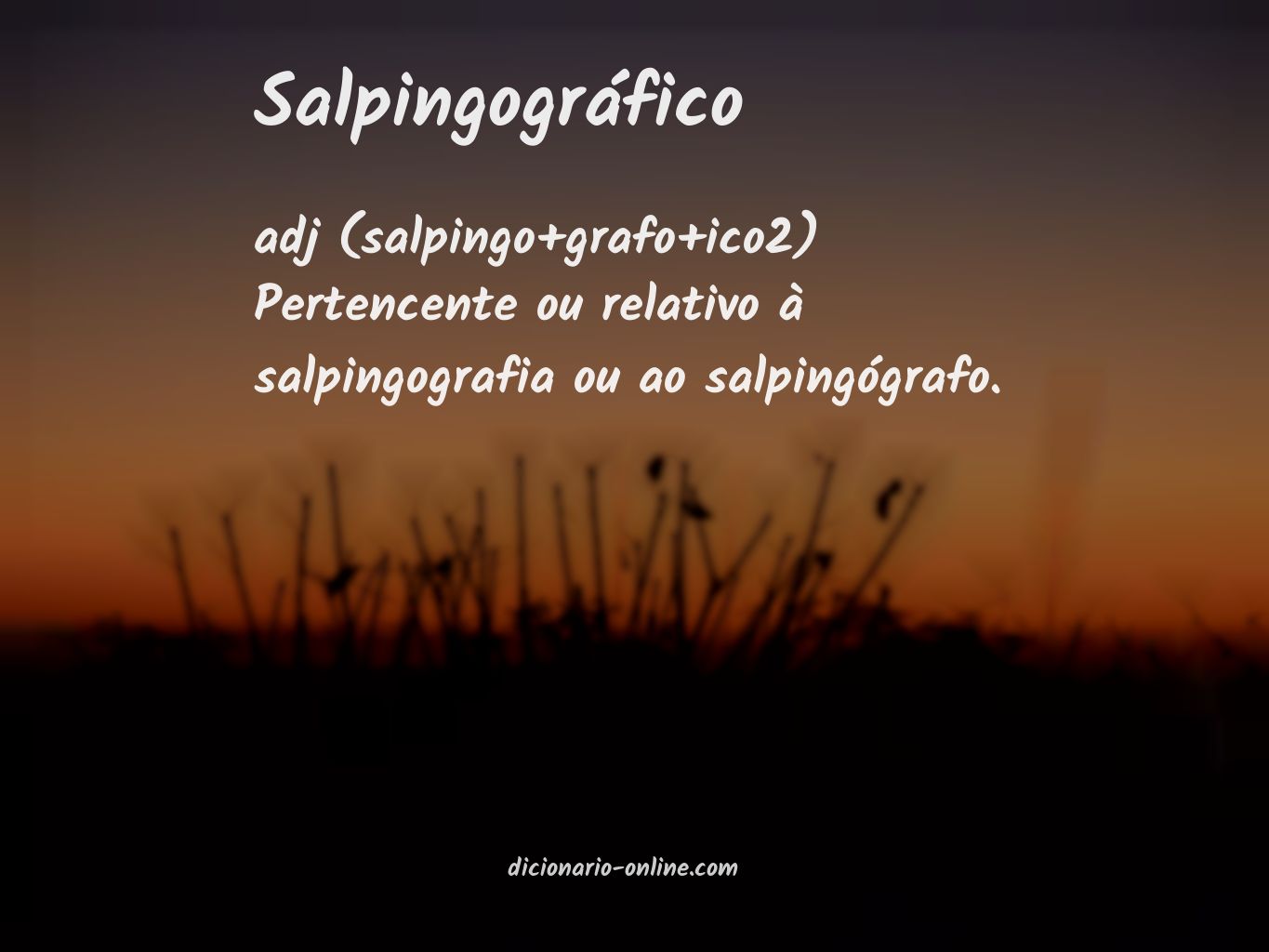 Significado de salpingográfico