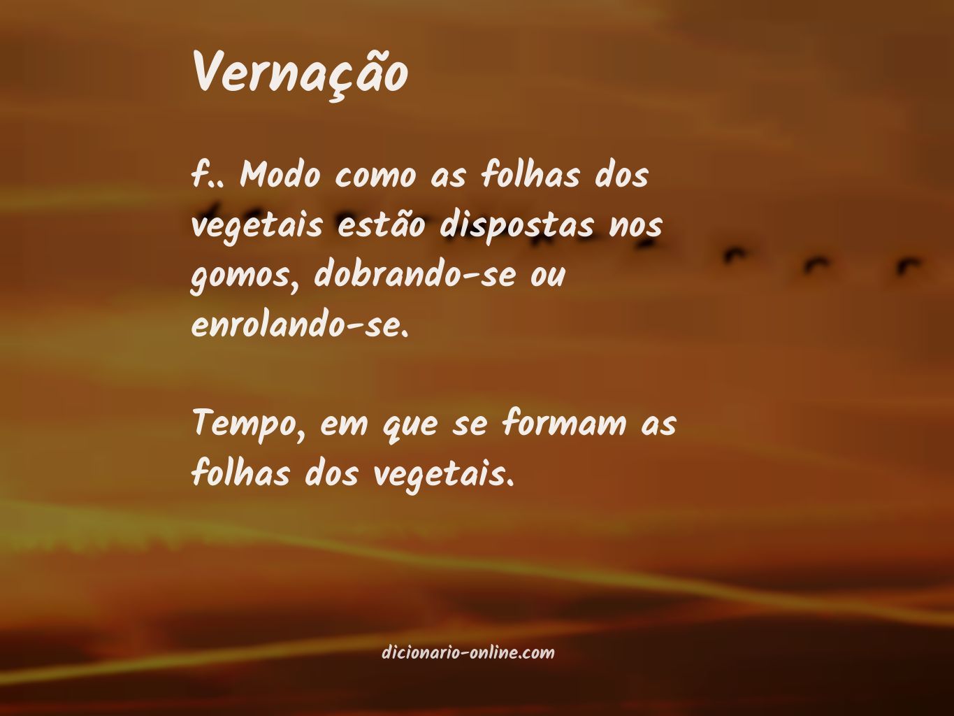 Significado de vernação