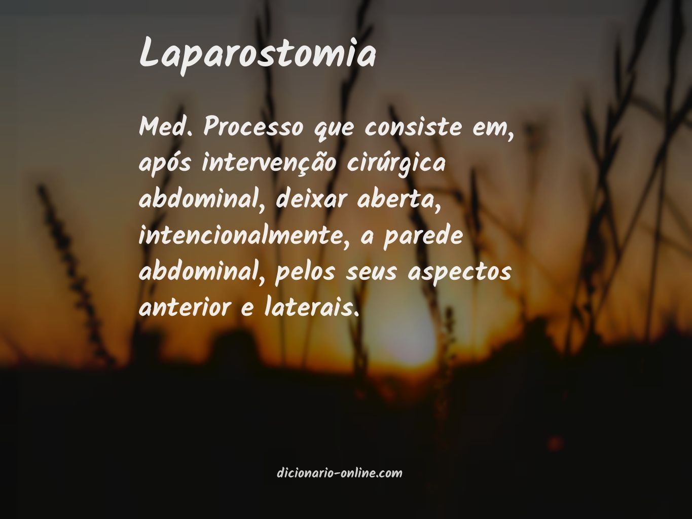 Significado de laparostomia