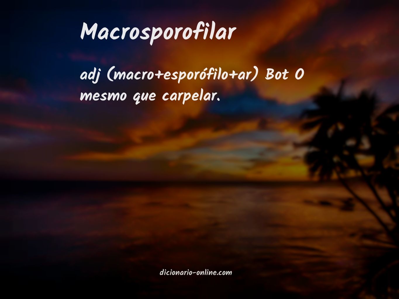 Significado de macrosporofilar