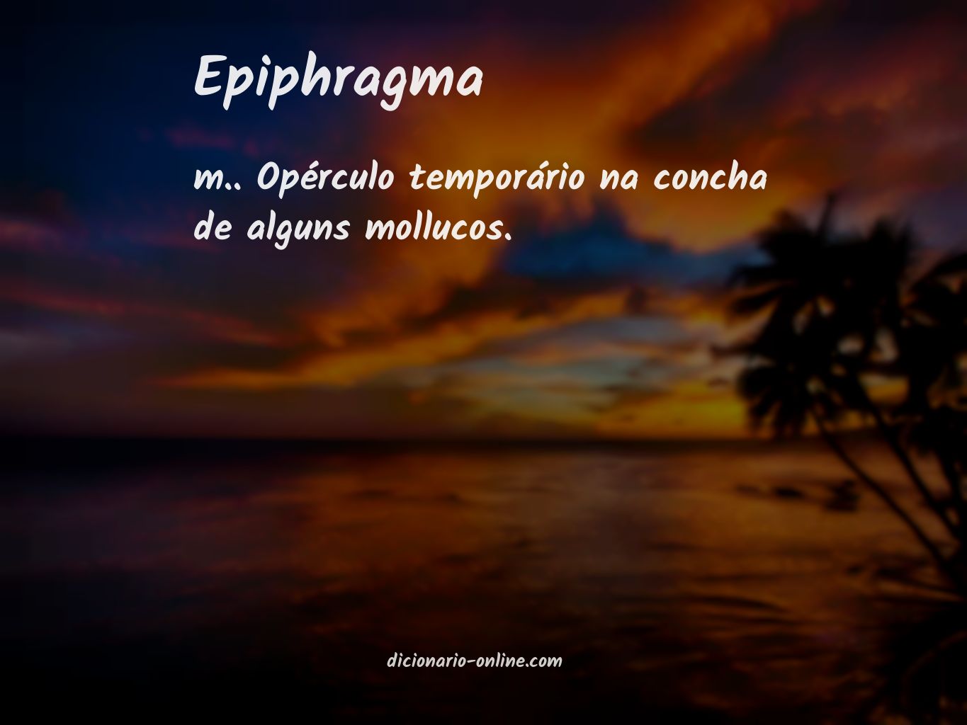 Significado de epiphragma