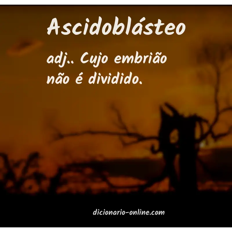 Significado de ascidoblásteo