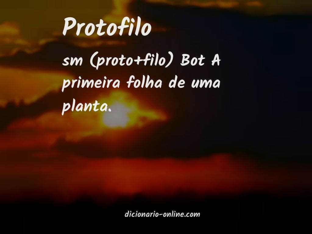 Significado de protofilo