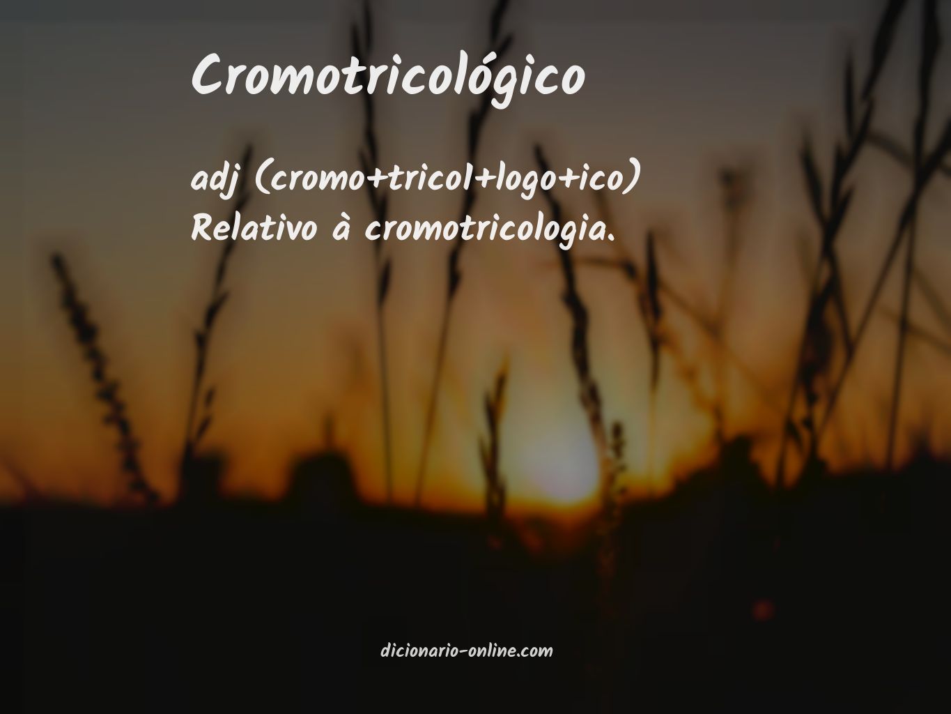 Significado de cromotricológico