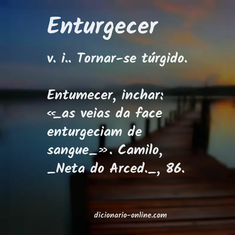 Significado de enturgecer
