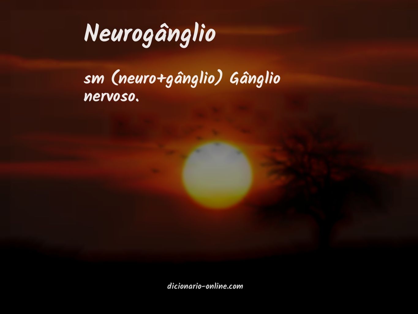 Significado de neurogânglio