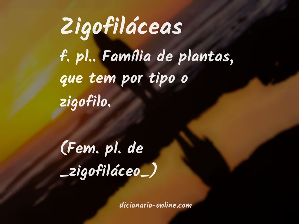 Significado de zigofiláceas