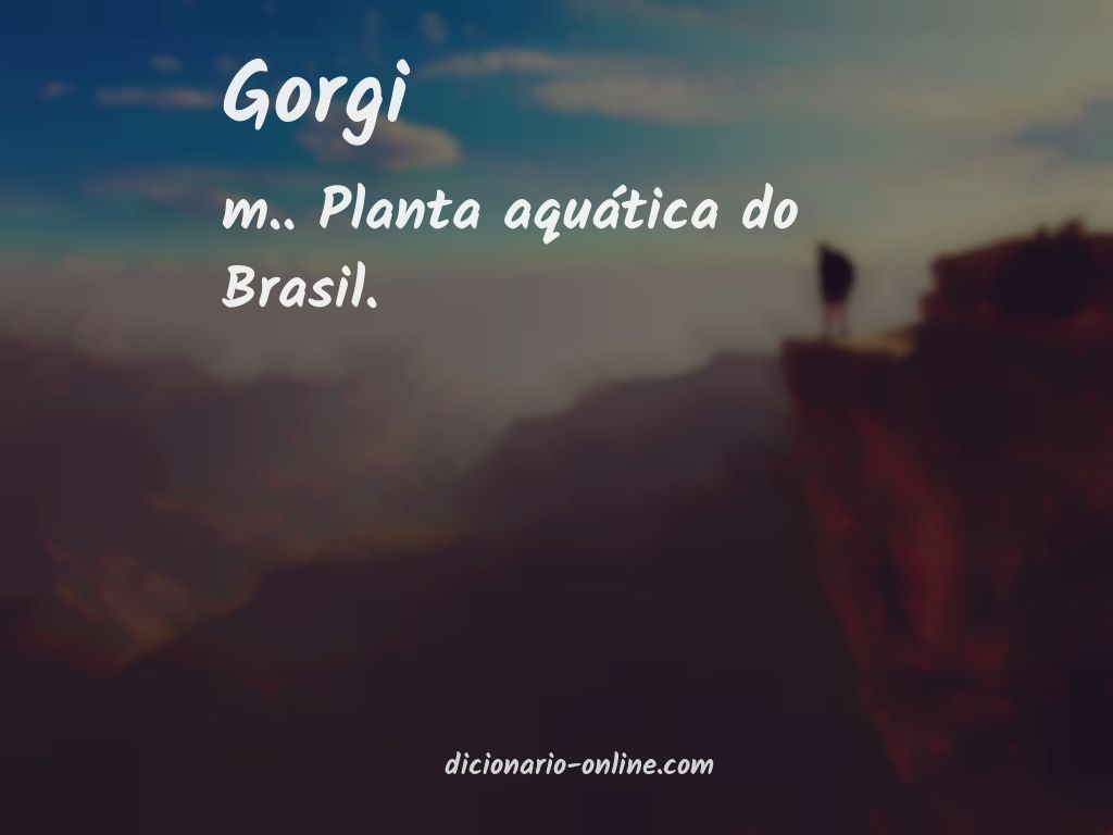 Significado de gorgi