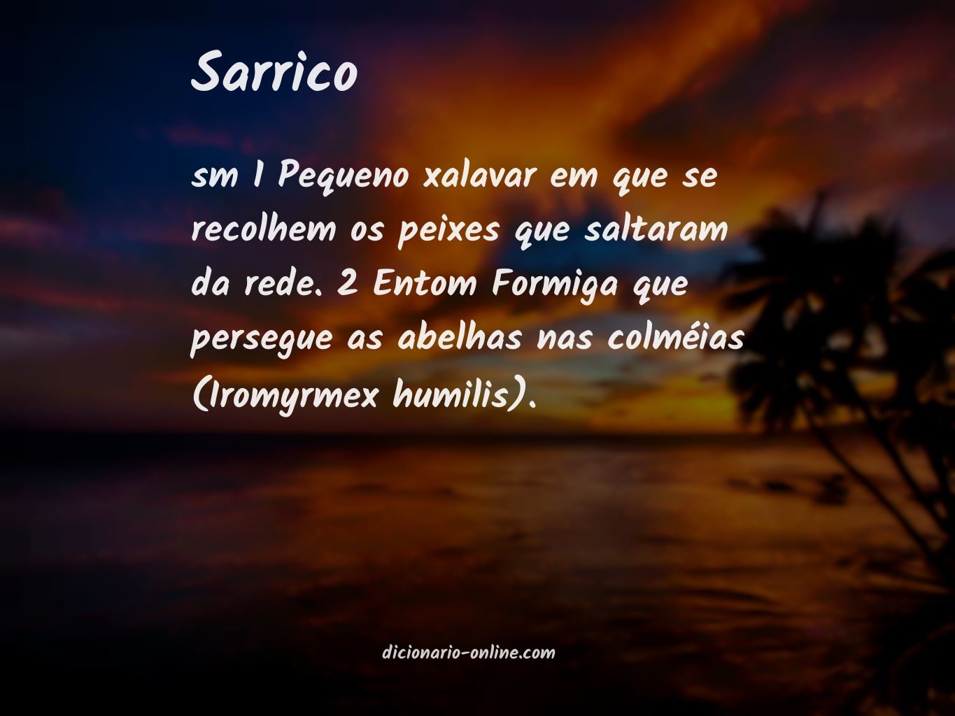 Significado de sarrico