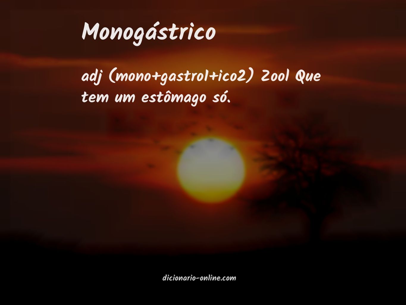 Significado de monogástrico