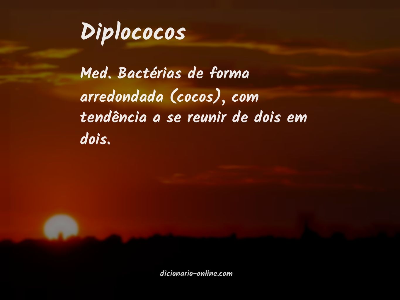 Significado de diplococos