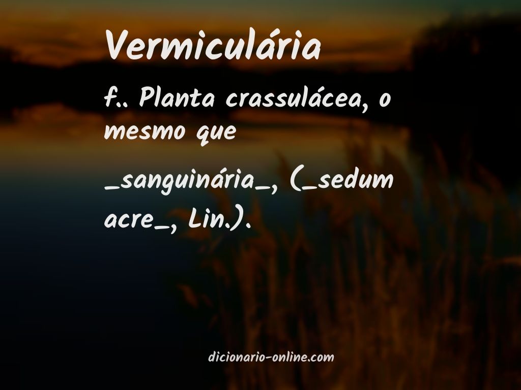 Significado de vermiculária