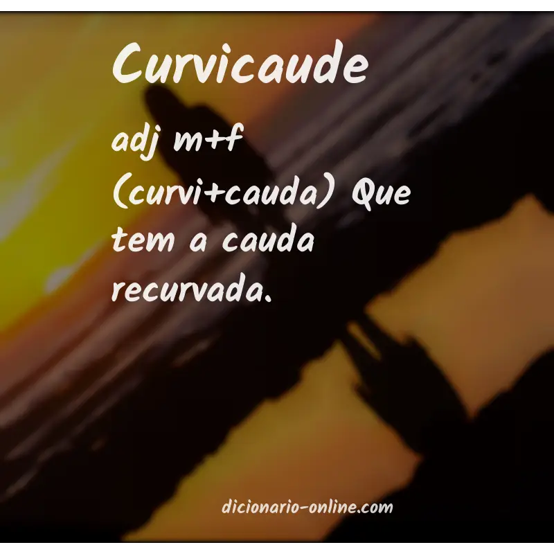 Significado de curvicaude
