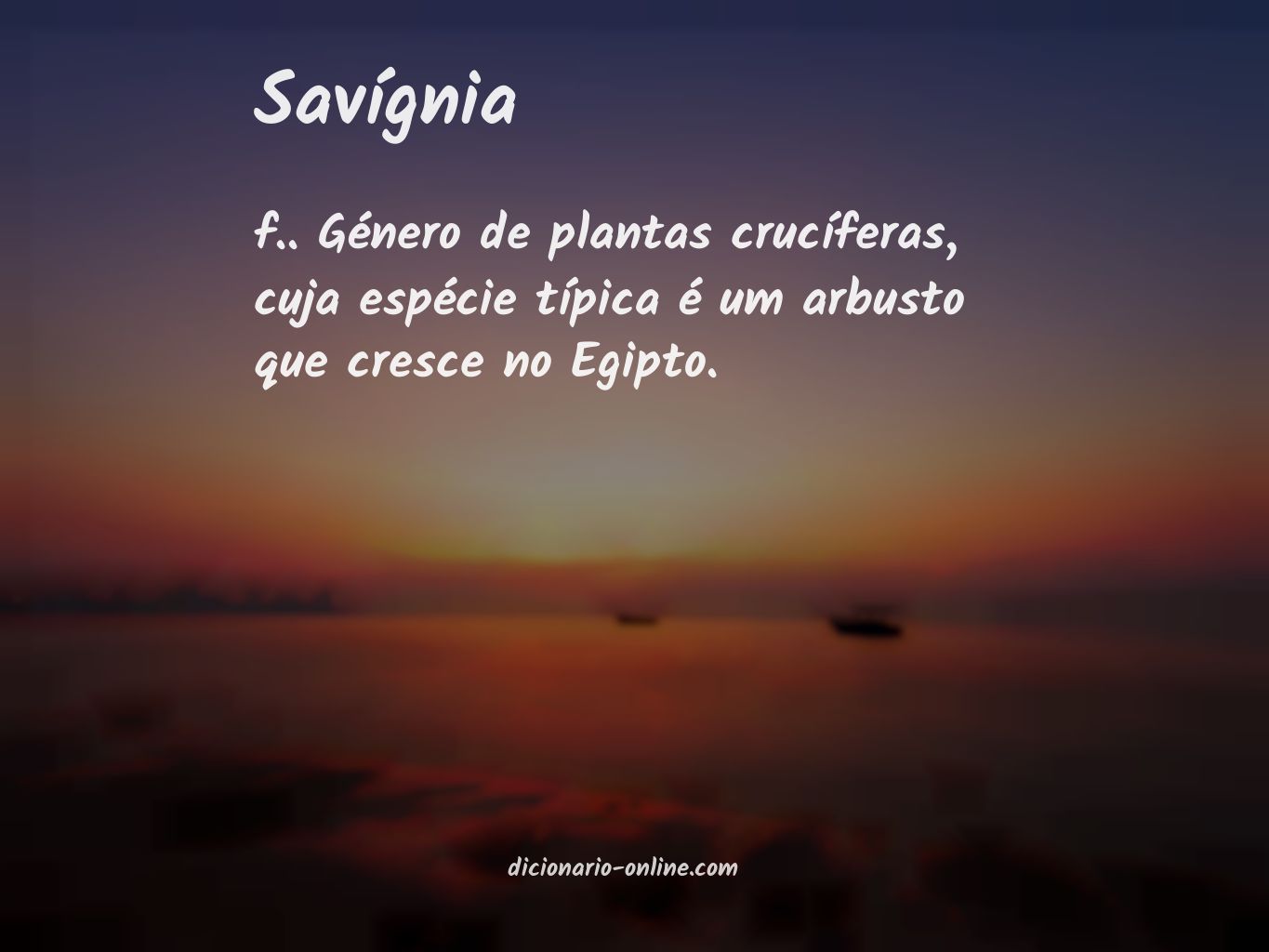 Significado de savígnia