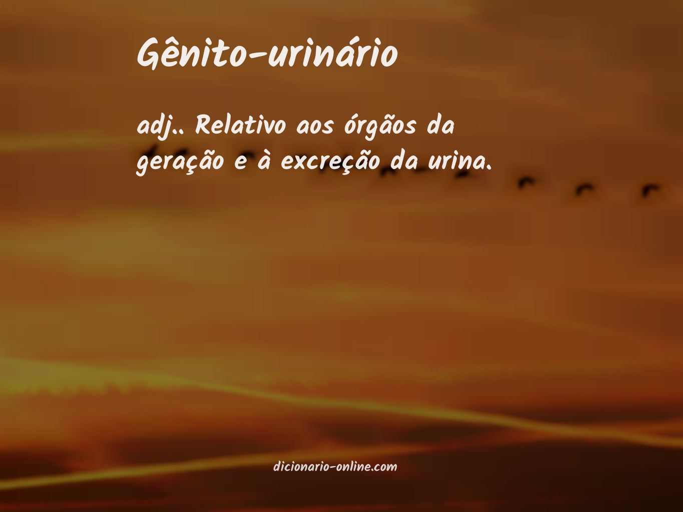 Significado de gênito-urinário