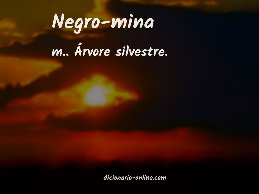 Significado de negro-mina