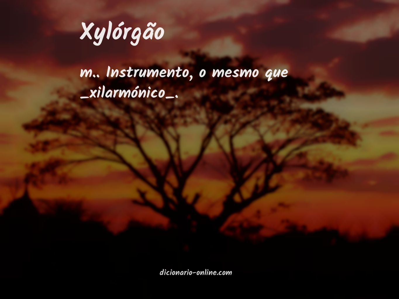 Significado de xylórgão