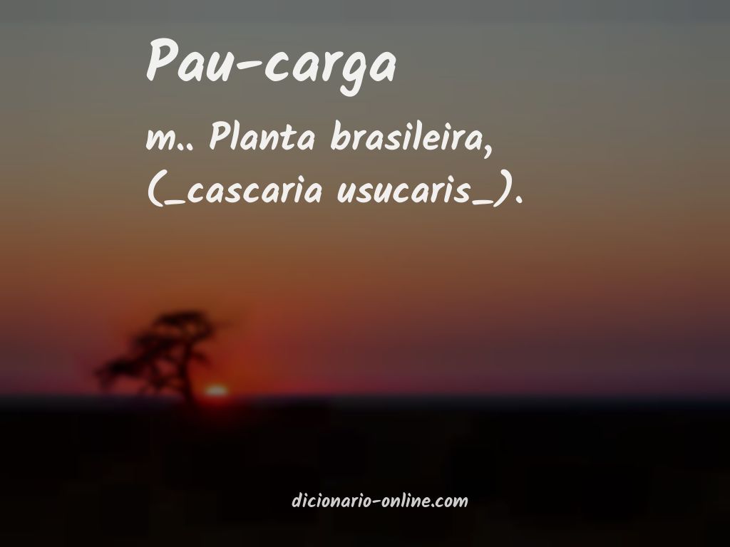 Significado de pau-carga