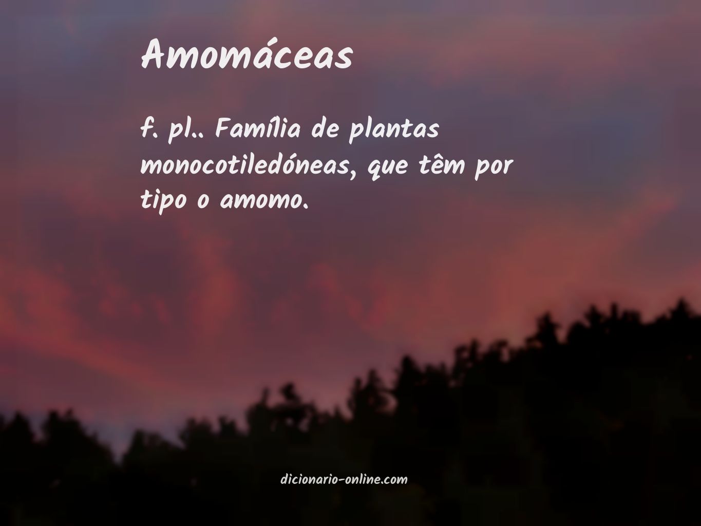 Significado de amomáceas