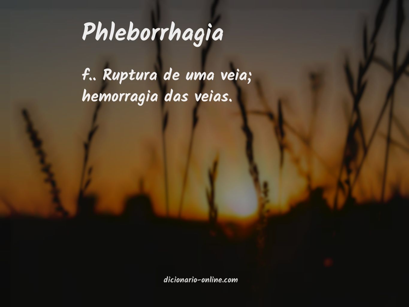 Significado de phleborrhagia