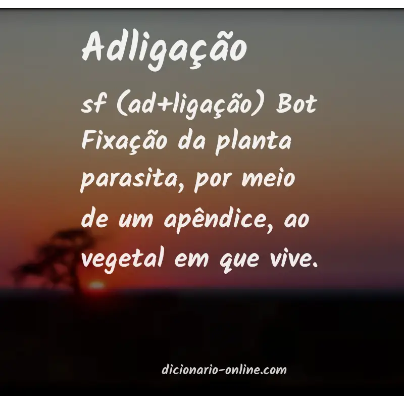 Significado de adligação