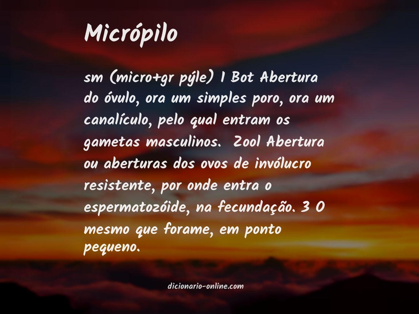 Significado de micrópilo