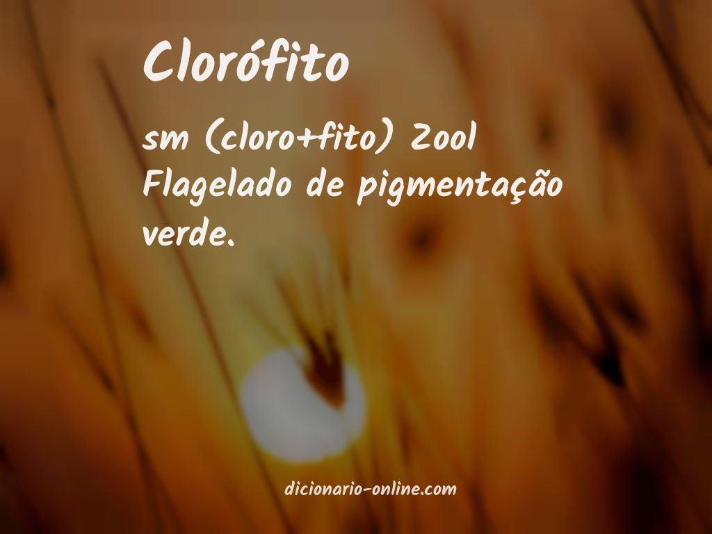 Significado de clorófito
