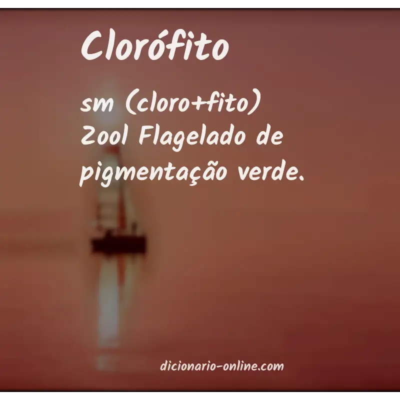 Significado de clorófito