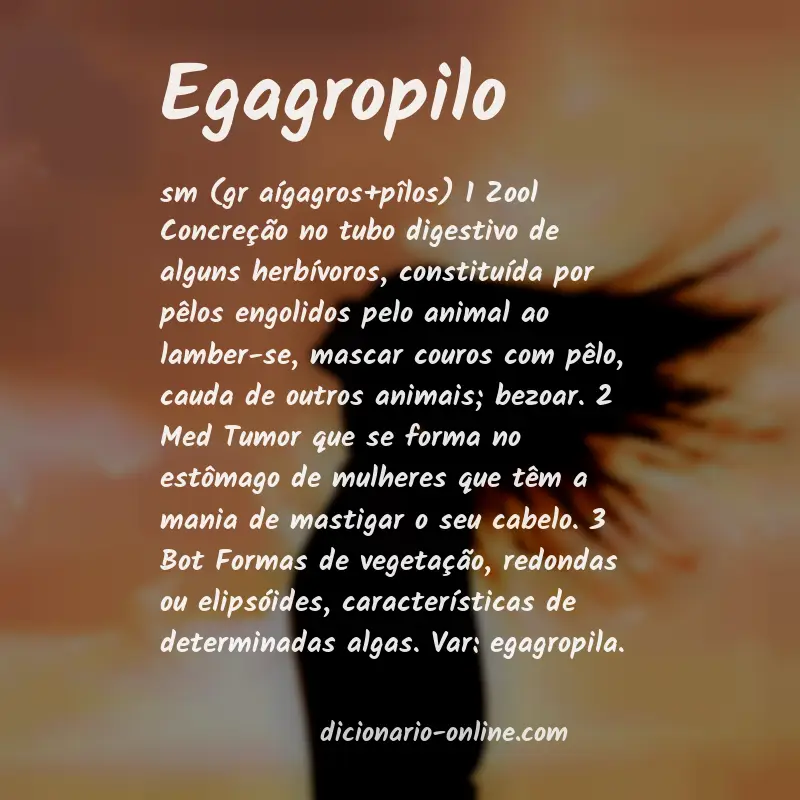 Significado de egagropilo