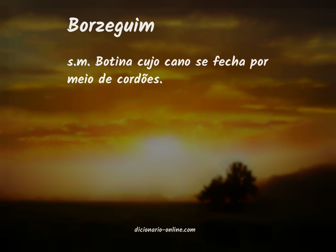 Significado de borzeguim