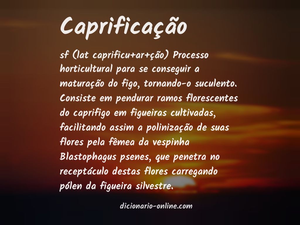 Significado de caprificação