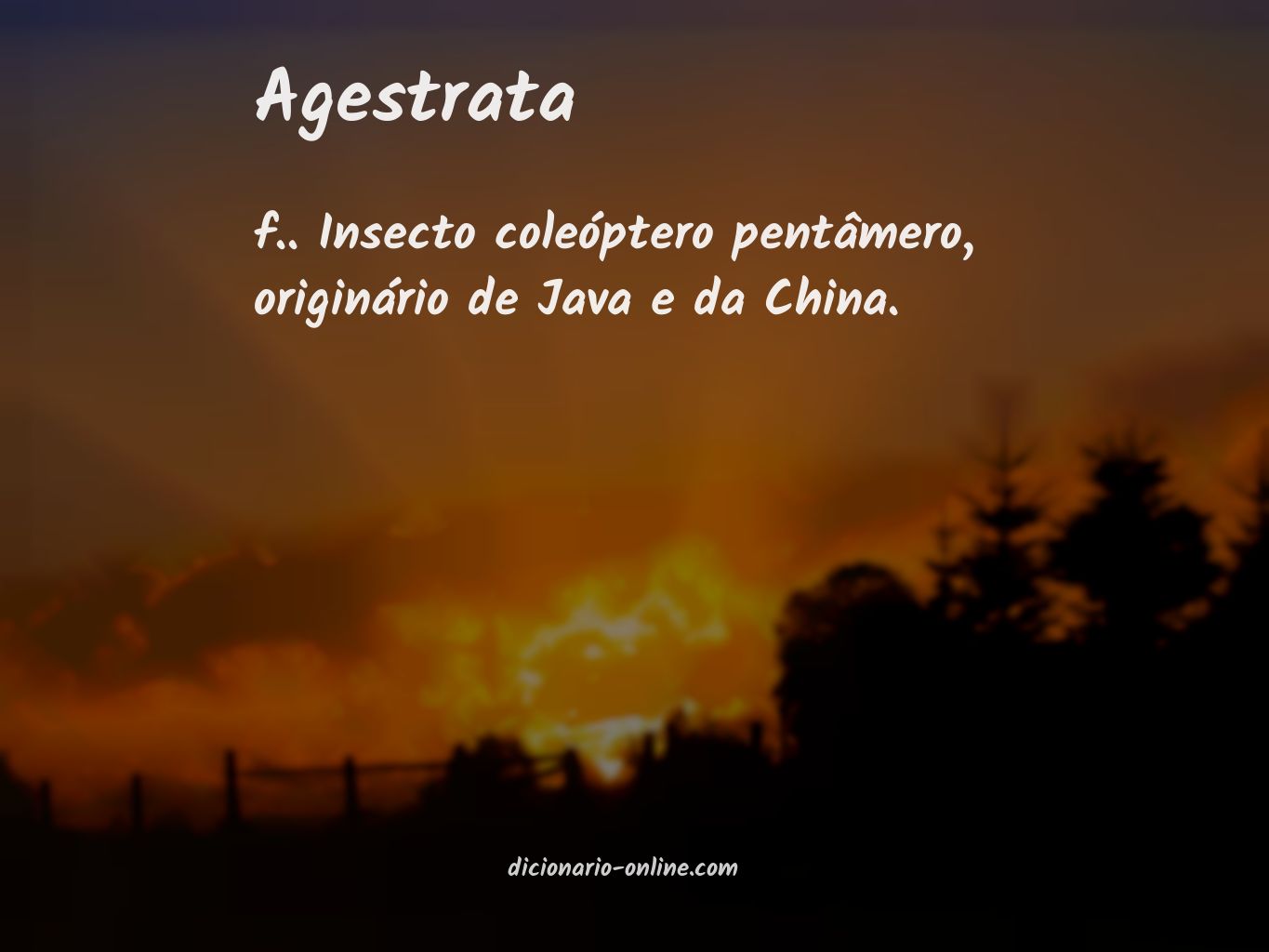 Significado de agestrata