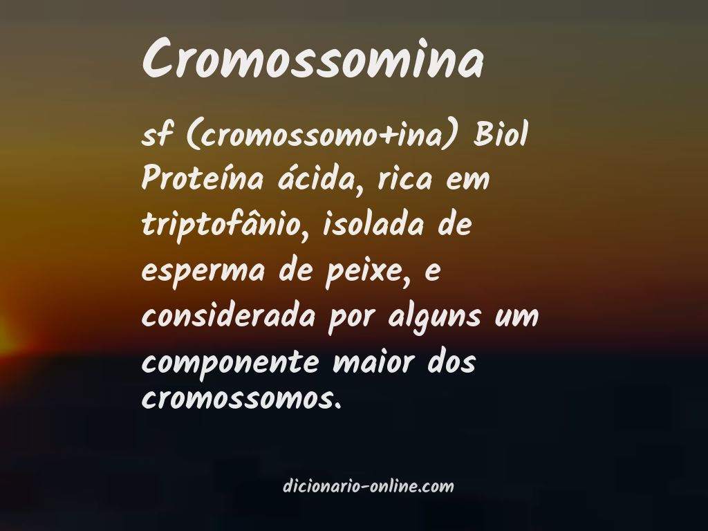 Significado de cromossomina