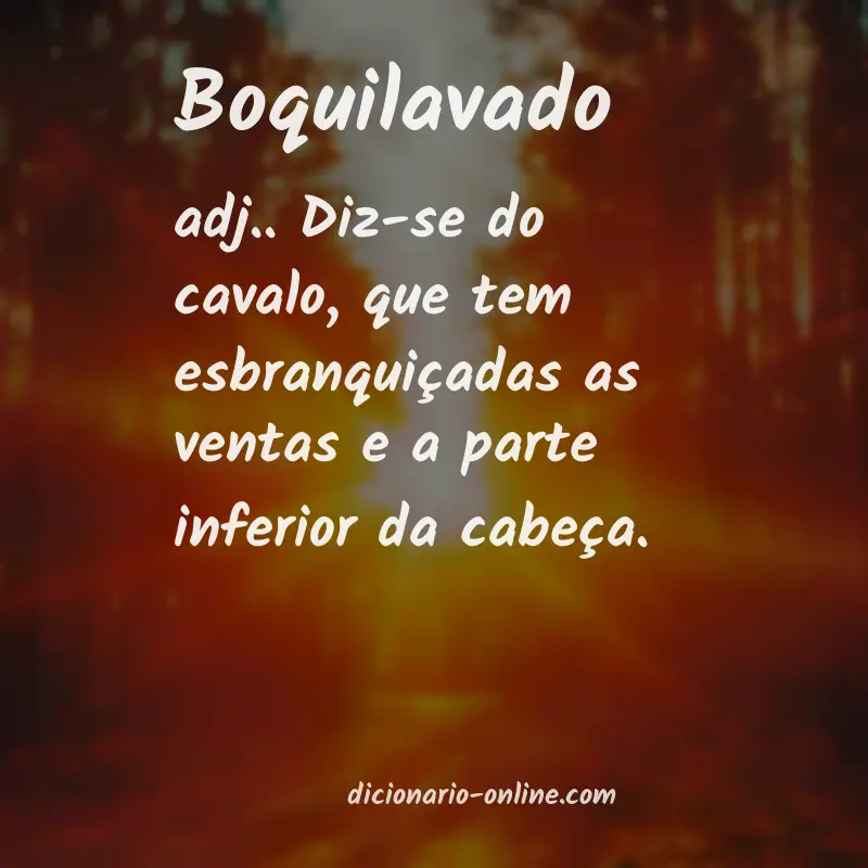 Significado de boquilavado