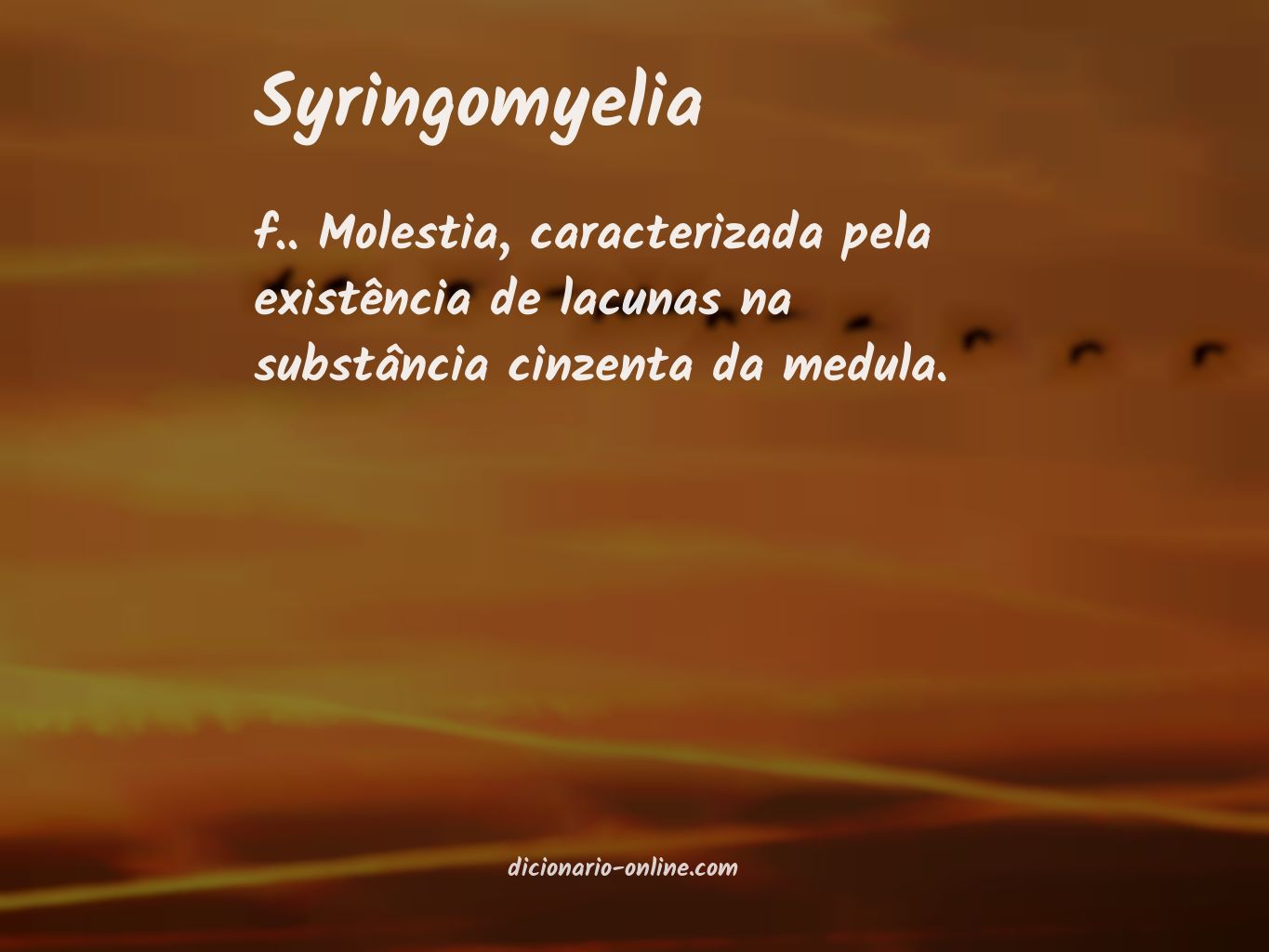 Significado de syringomyelia