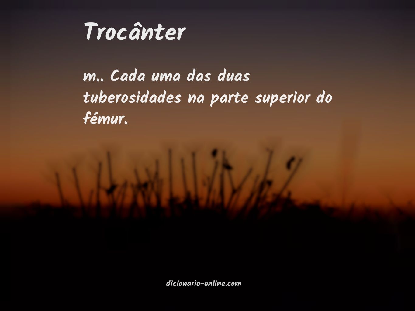 Significado de trocânter