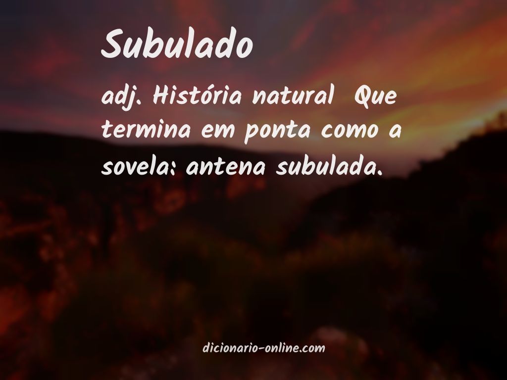 Significado de subulado