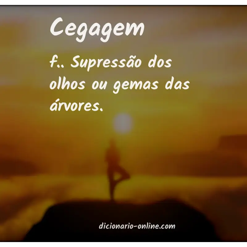 Significado de cegagem