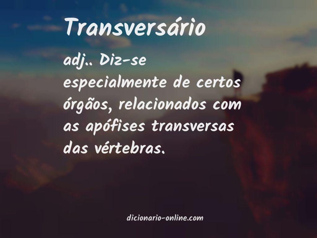 Significado de transversário