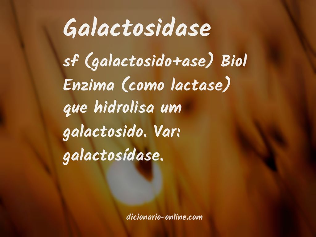 Significado de galactosidase