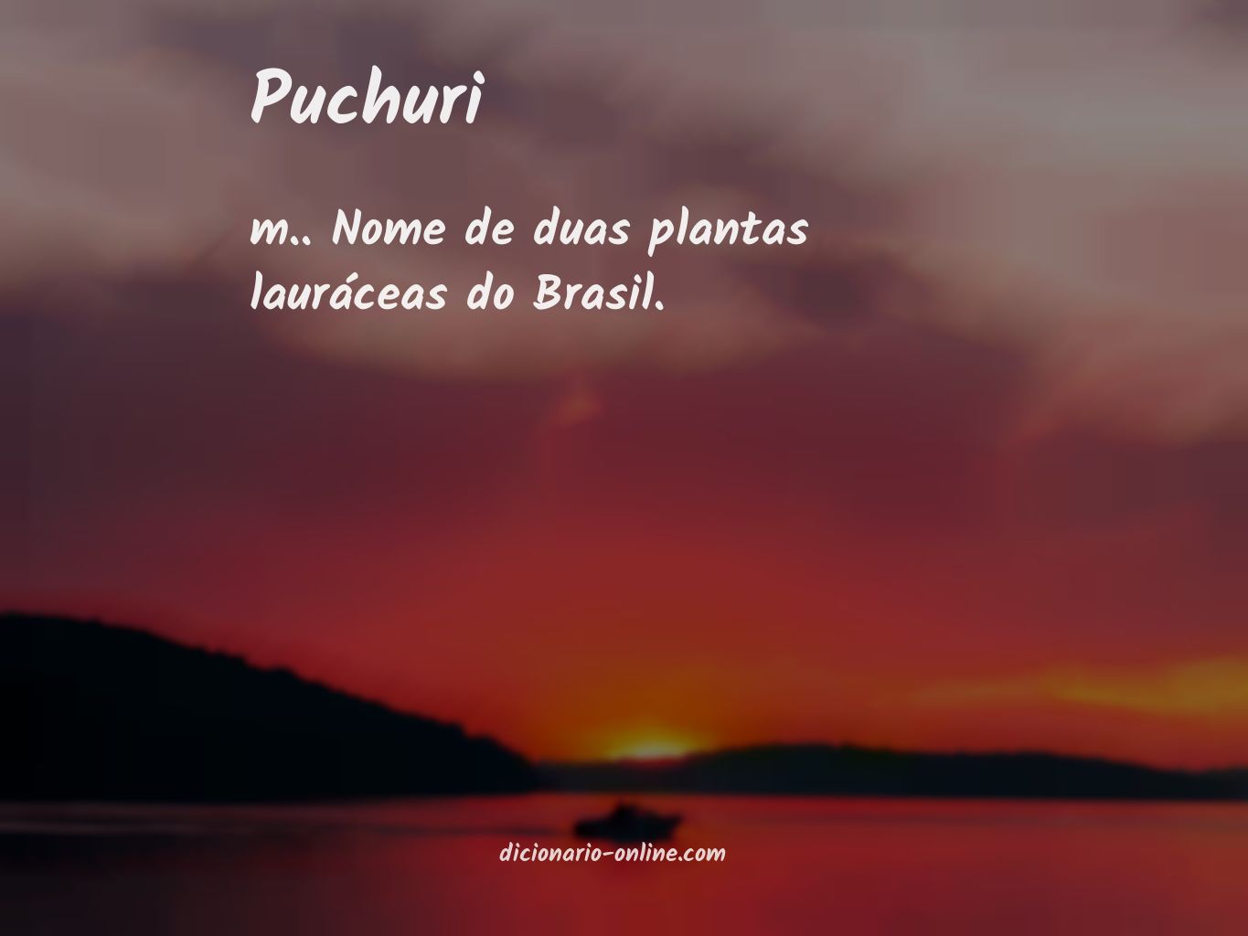 Significado de puchuri