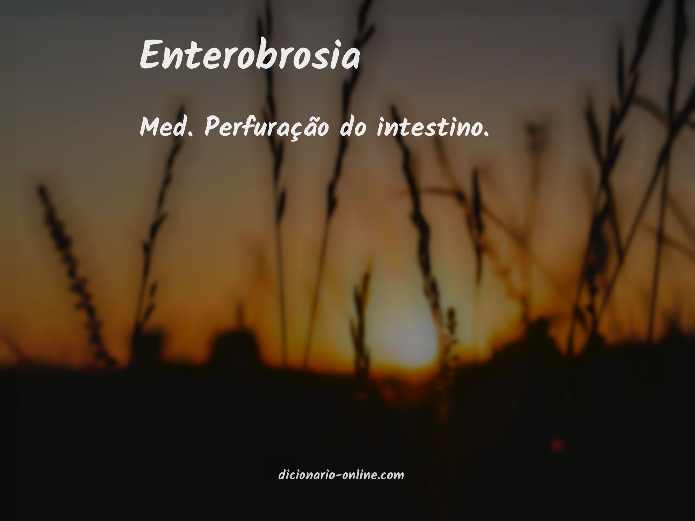 Significado de enterobrosia