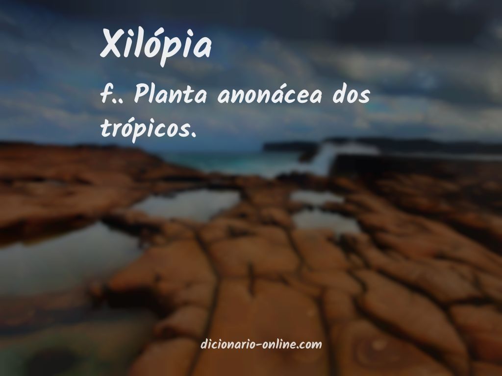 Significado de xilópia