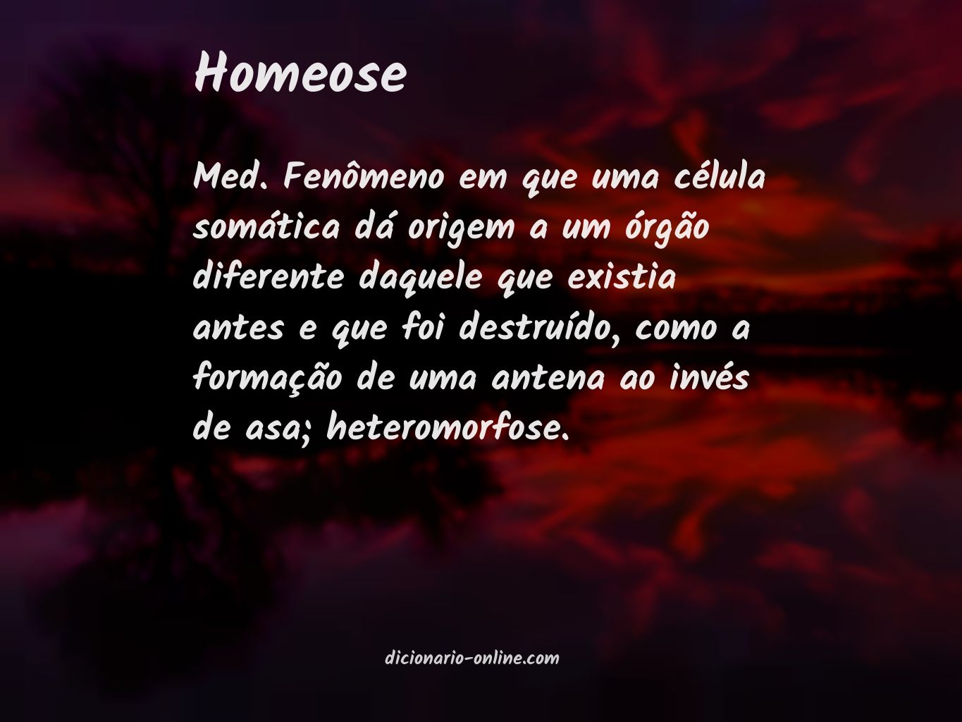 Significado de homeose