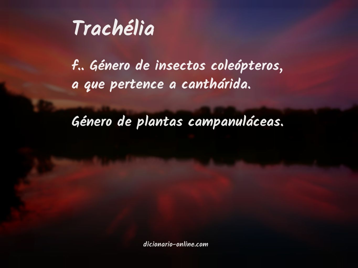 Significado de trachélia