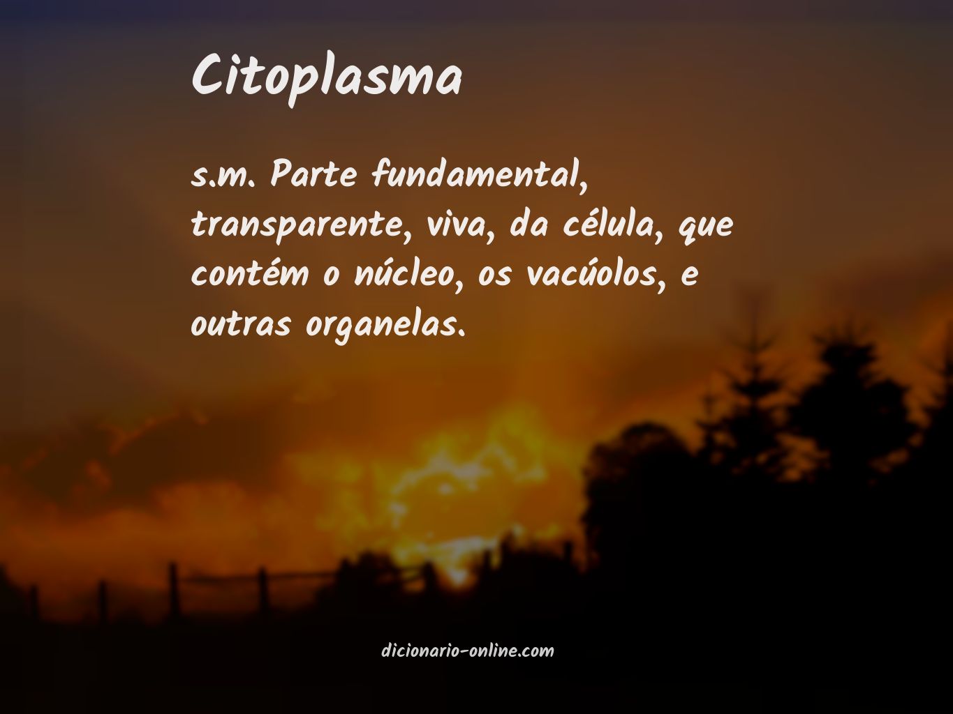 Significado de citoplasma